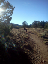 $client_url_words logo