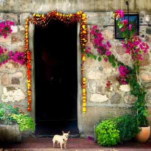 $client_url_words pic1