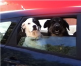 $client_url_words logo