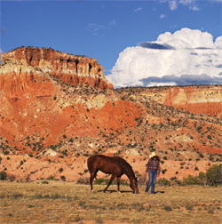 $client_url_words pic2