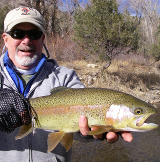 $client_url_words logo2