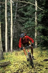 $client_url_words logo