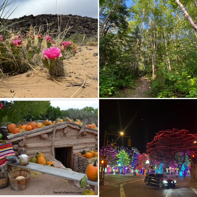 $client_url_words logo