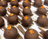 $client_url_words logo2