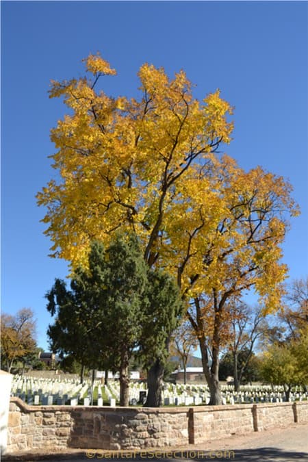 Rosario National Cemetery, Santa Fe.