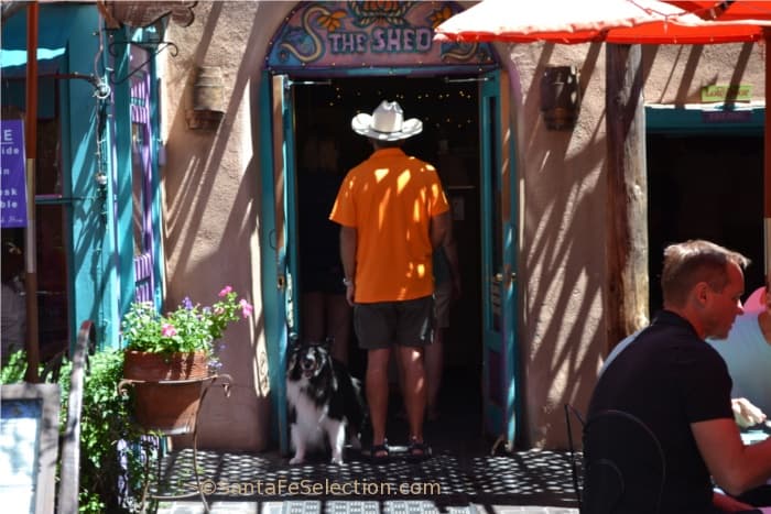 Shed door-hat-dog