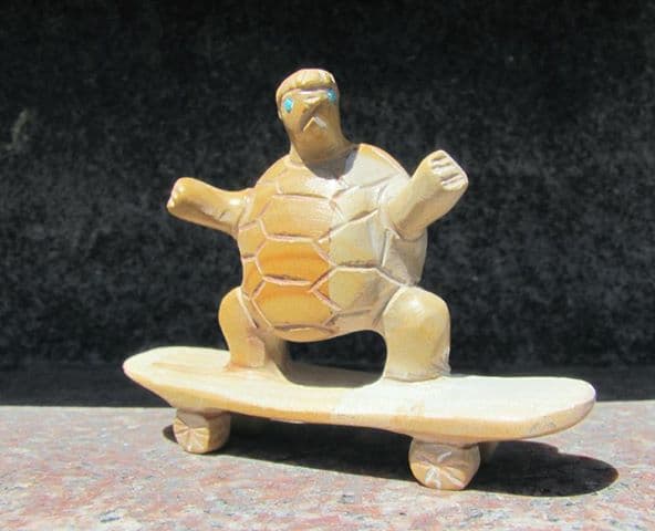 Skateboarding Turtle - Brennette Epaloose