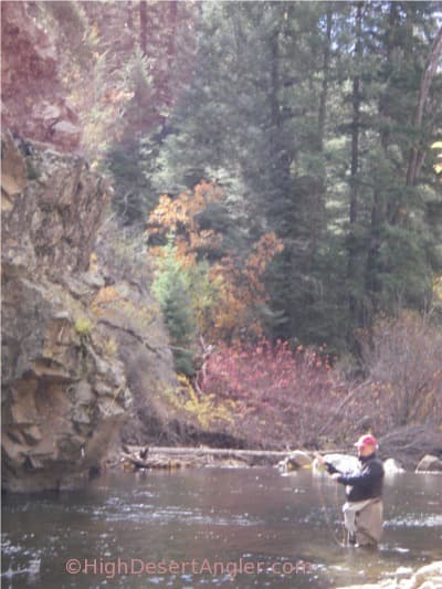 Autumn fishing in new mexico