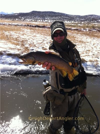 Jarrettwintertroutfishg