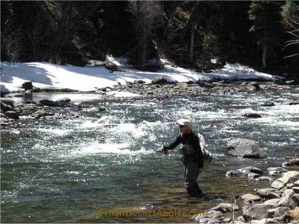 Fly Fishing Year-Round in Northern New Mexico