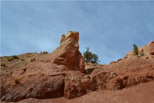 Dinosaur-Finds