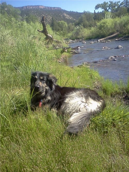JemezRiver