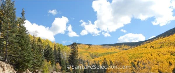 Aspen Vista - Sangre de Cristo Mountains