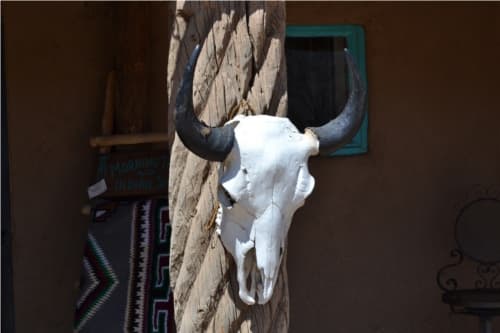 Skull