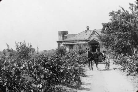 The Deep Roots of New Mexico Wine Country