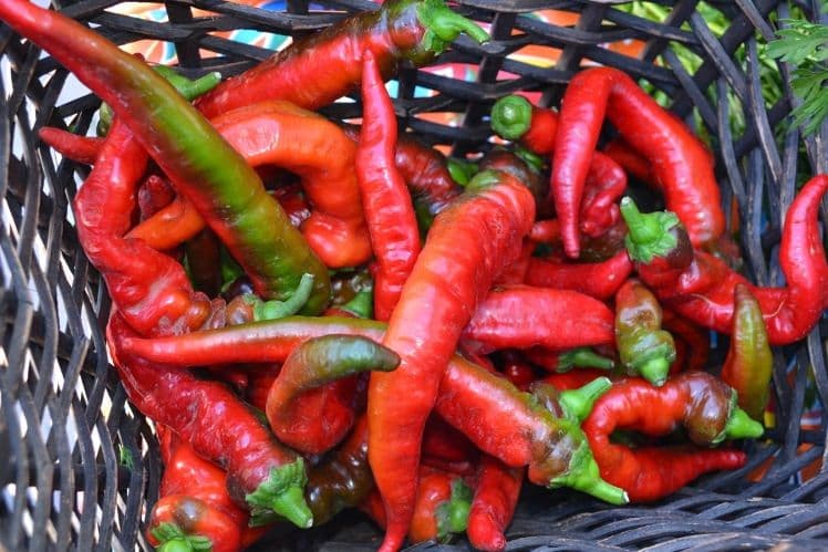 Visit Santa Fe Itinerary for Art & Food Lovers!