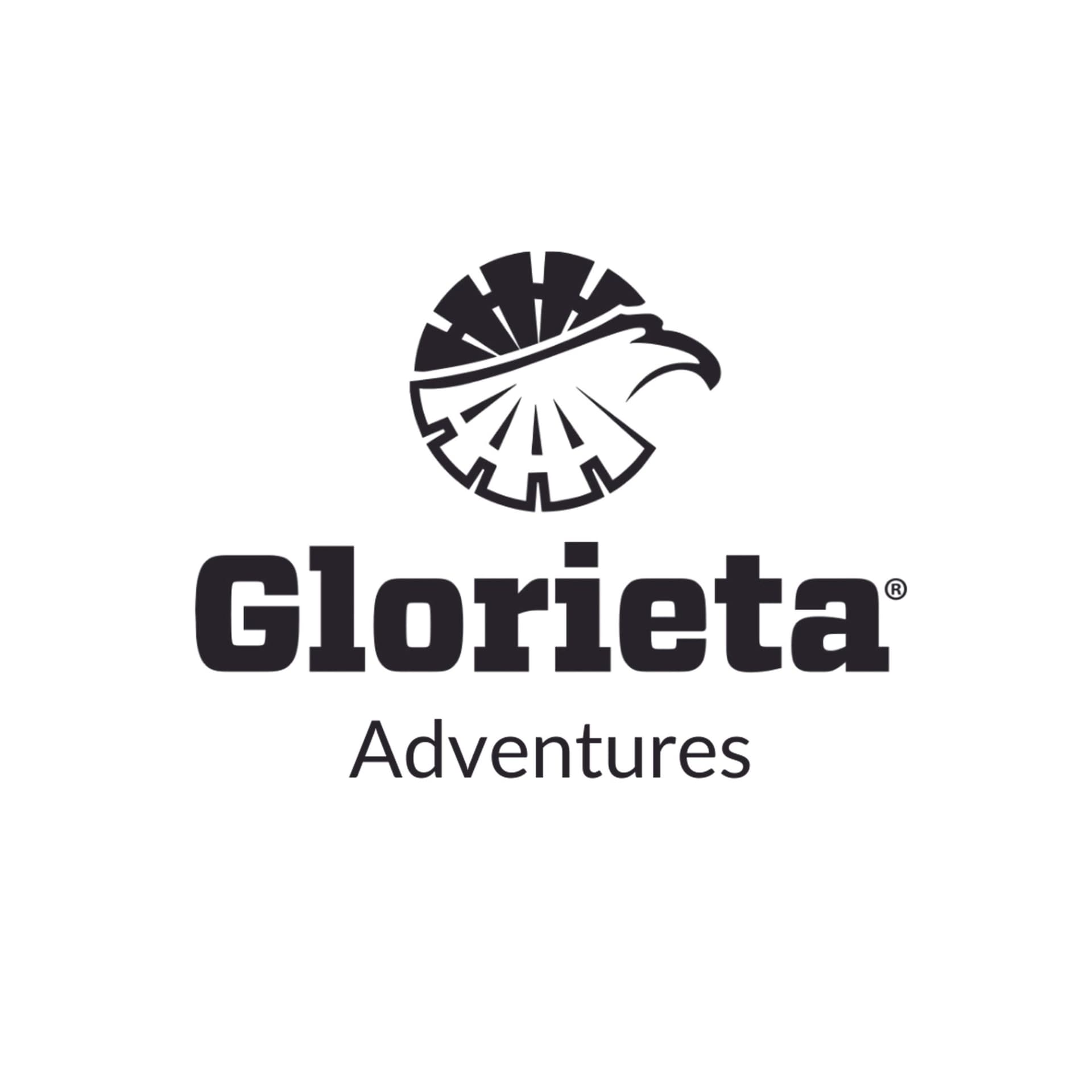 High Five Zipline Adventure logo